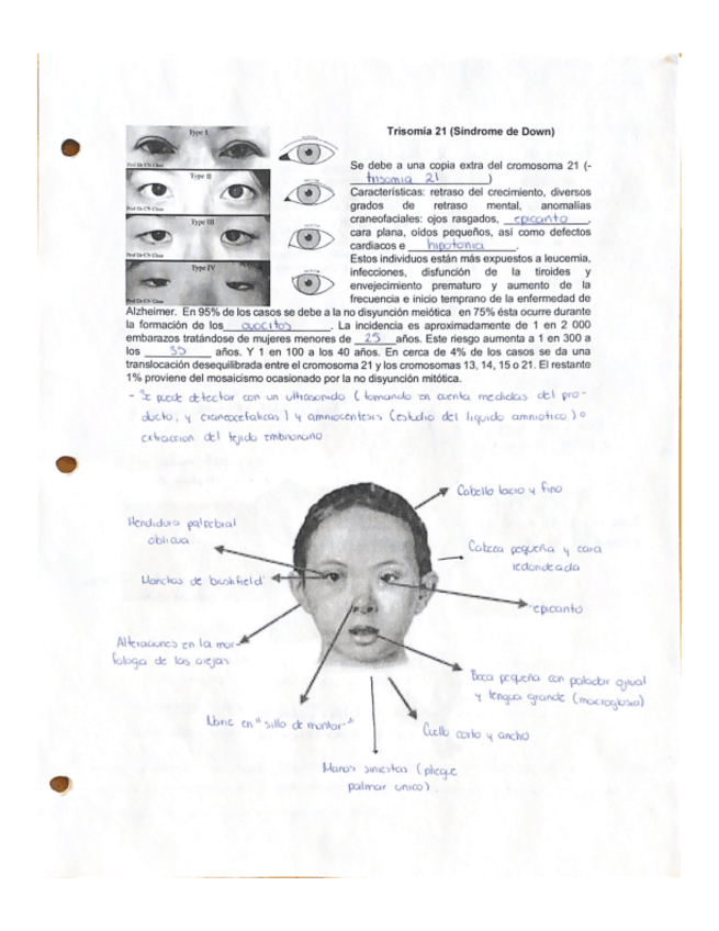 Miniatura del documento Sindromes-Cromosomicos.pdf