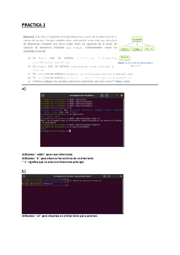 Miniatura del documento Practica-1-Ejercicios.pdf