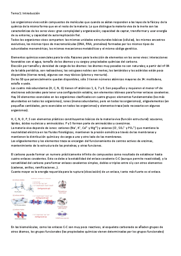 Miniatura del documento Bioquímica 1.pdf