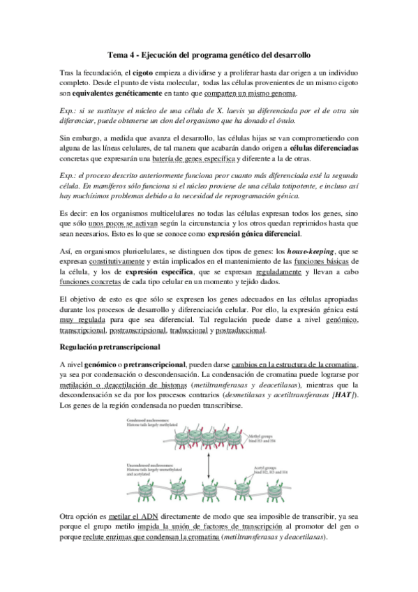 Miniatura del documento Tema 4 - Ejecución del programa genético del desarrollo.pdf