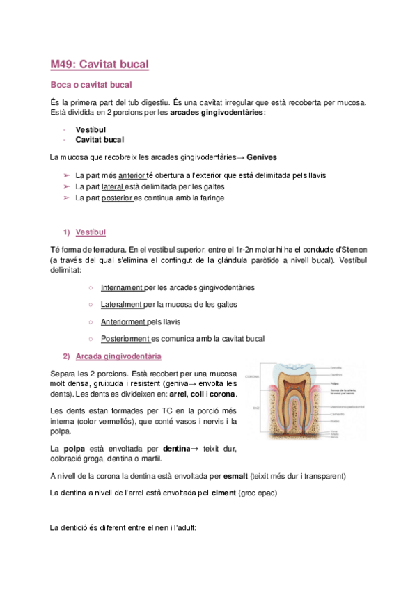 Miniatura del documento digestiu-magis.pdf