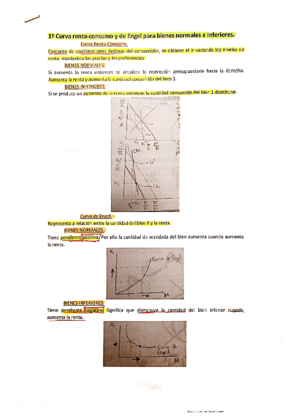 Miniatura del documento MicroIntermedia-Curva-renta-consumo.pdf