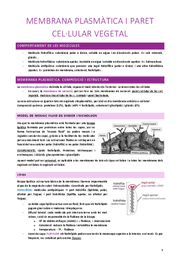 Miniatura del documento MEMBRANA-PLASMATICA-I-PARET-CEL.pdf