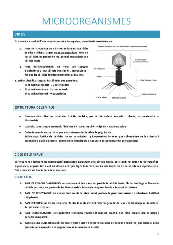 Miniatura del documento MICROORGANISMES.pdf
