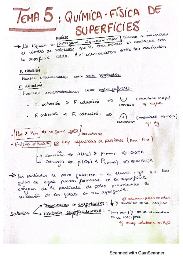 Miniatura del documento Apuntes-y-ejercicios-TEMA-5.pdf