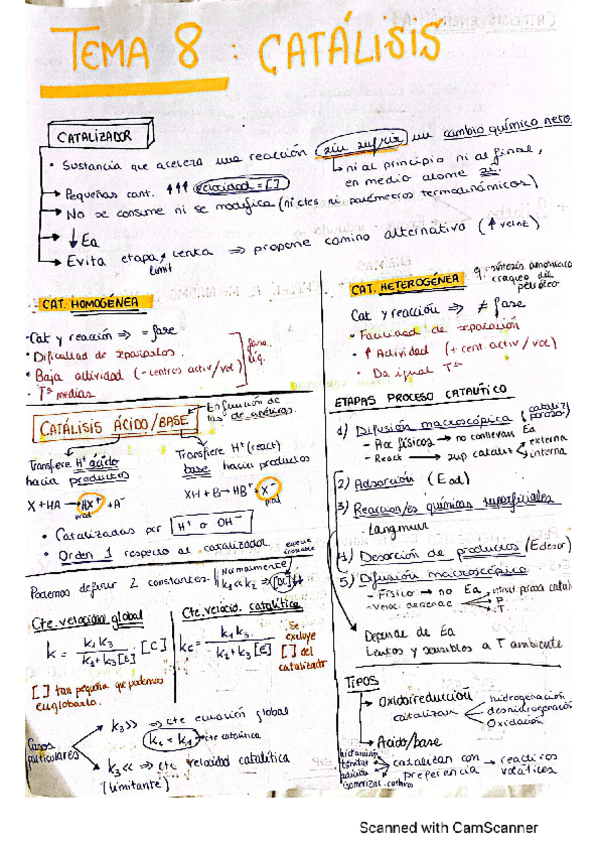 Miniatura del documento Apuntes-TEMA-8-CATALISIS-Y-ENZIMAS.pdf