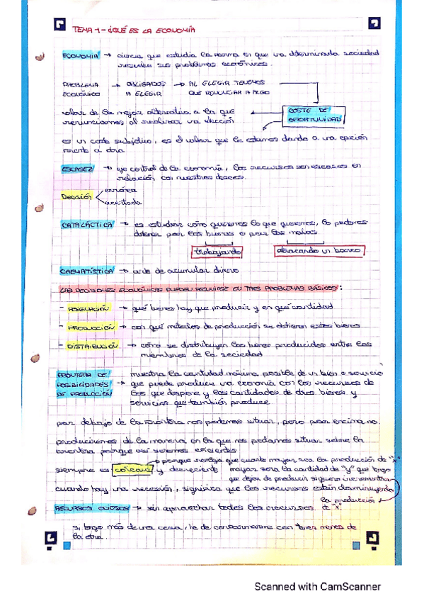 Miniatura del documento Temas-escritos.pdf