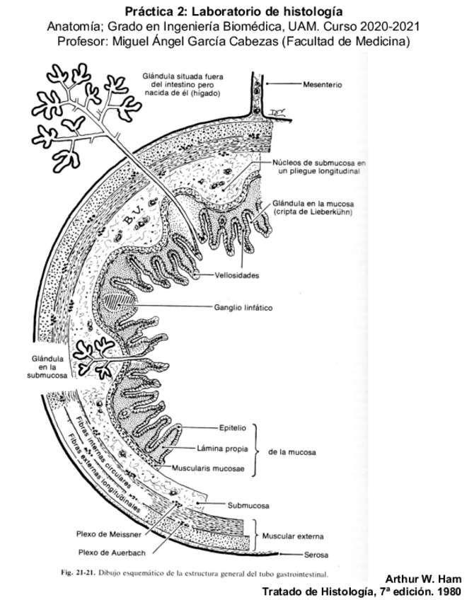 Miniatura del documento Examen-Practico-en-blanco.pdf