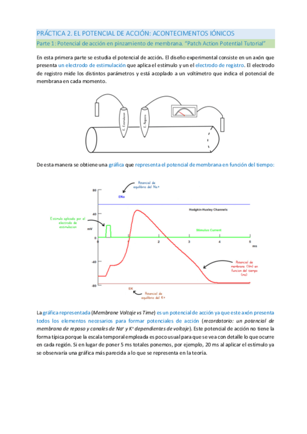 Miniatura del documento PRACTICA-2.pdf