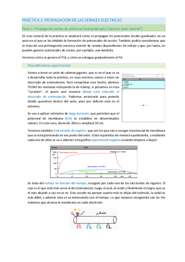 Miniatura del documento PRACTICA-3.pdf