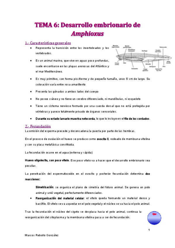 Miniatura del documento TEMA-6.pdf