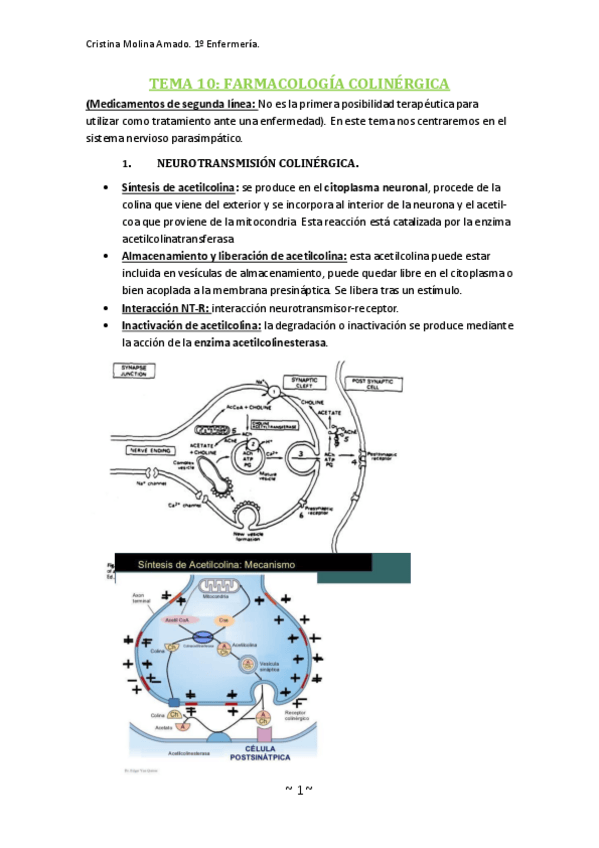 Miniatura del documento TEMA-10.pdf