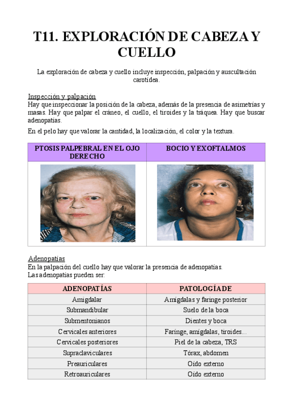 Miniatura del documento T11.pdf