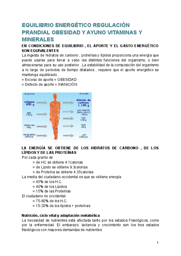 Miniatura del documento EQUILIBRIO-Y-METABOLISMO.pdf