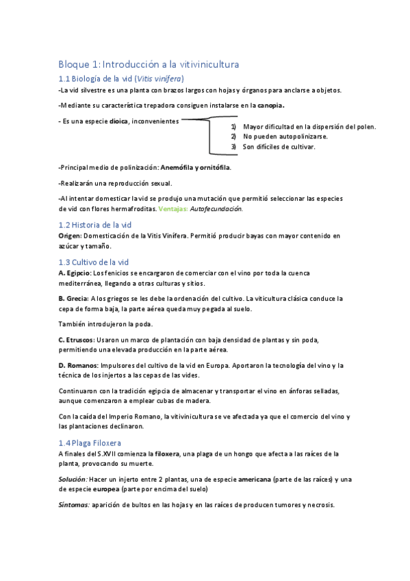 Miniatura del documento Bloque-1-definitivo.pdf