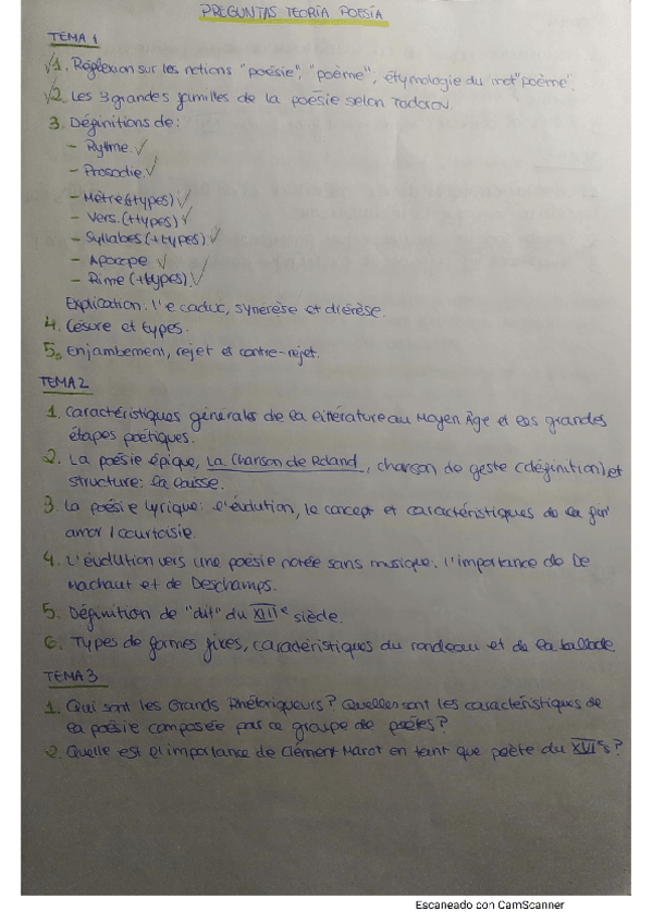 Miniatura del documento Preguntas-frecuentes-teoria.pdf