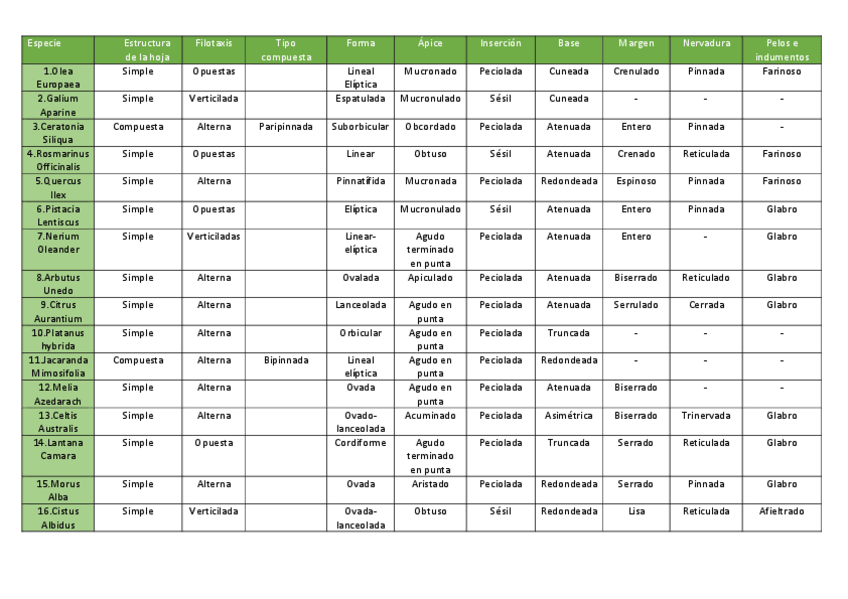 Miniatura del documento Clave-dicotomica.pdf