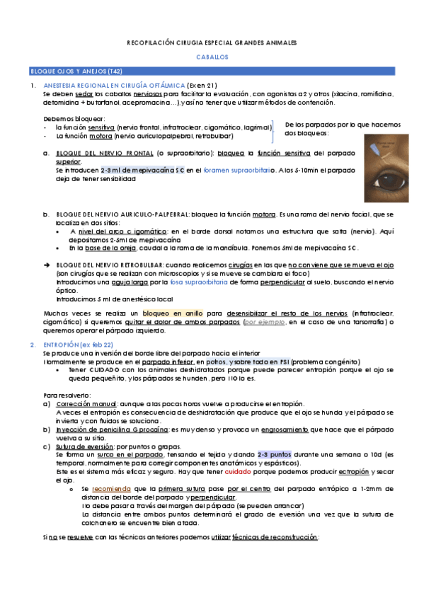 Miniatura del documento RECOPILACION-CIRUGIA-ESPECIAL-GRANDES-ANIMALES.pdf