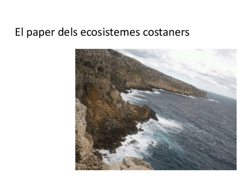 Miniatura del documento Tema8-Oceans3costaners.pdf