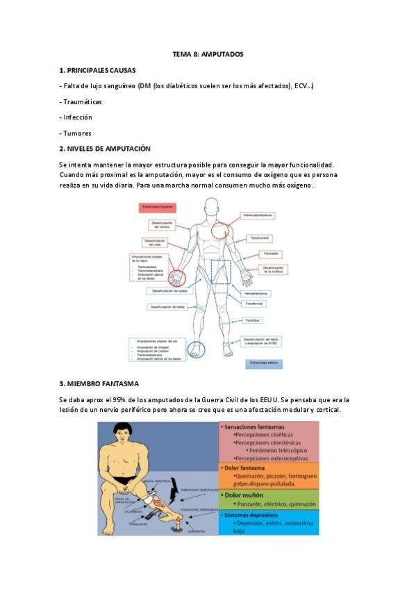 Miniatura del documento TEMA-8.pdf