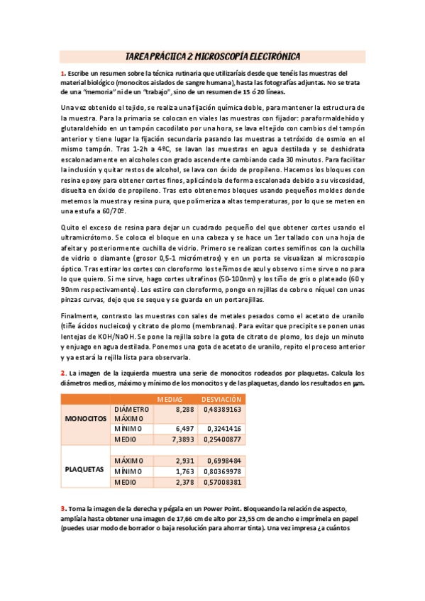 Miniatura del documento TAREA-PRACTICA-2.pdf