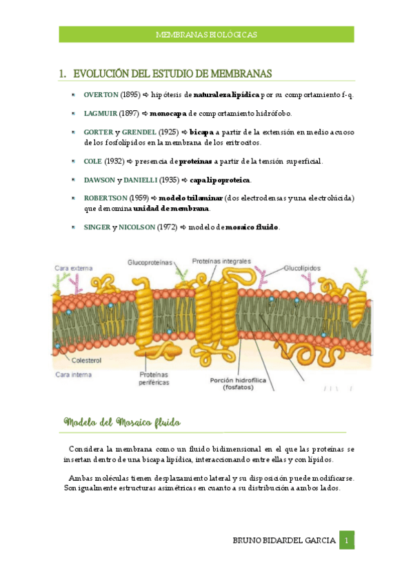 Miniatura del documento Membranas-biologicas.pdf