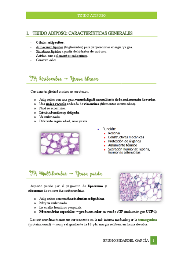 Miniatura del documento Tejido-Adiposo.pdf