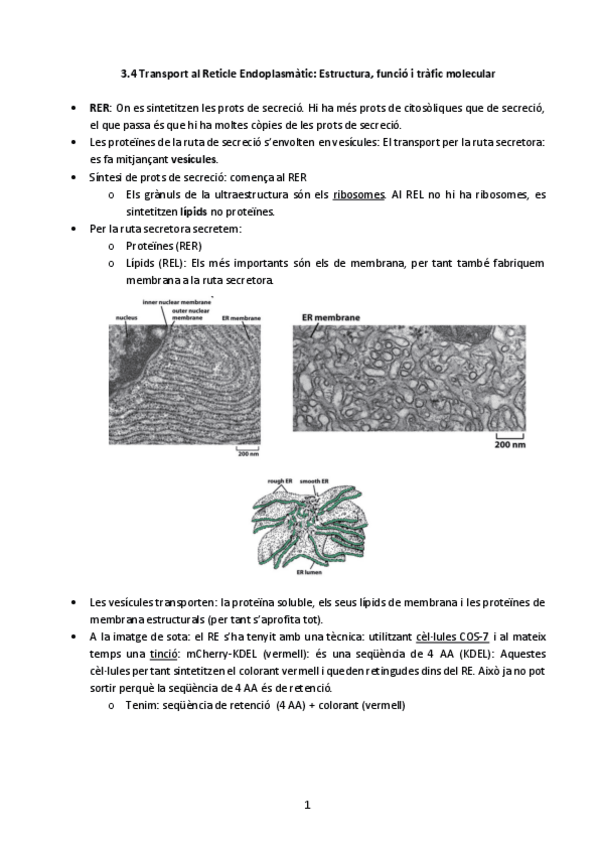Miniatura del documento T-3.4 RE (1).pdf