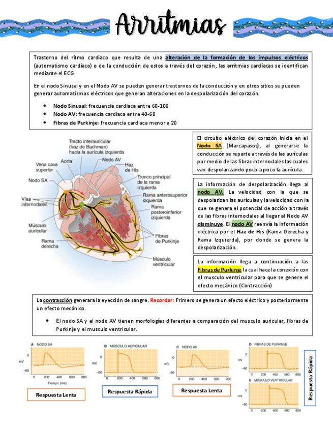 Miniatura del documento ARRITMIAS.pdf