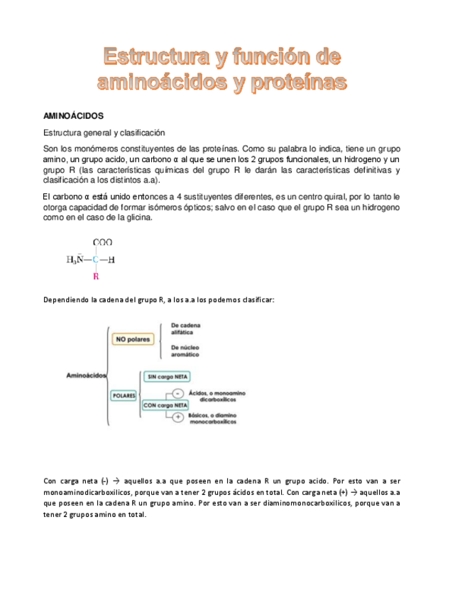 Miniatura del documento Estructura-y-funcion-de-aminoacidos-y-proteinas-PDF.pdf