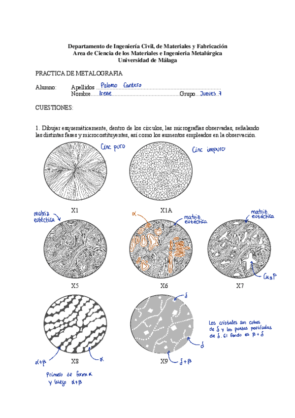 Miniatura del documento Practicas-parte-de-tecnologia-de-materiales.pdf