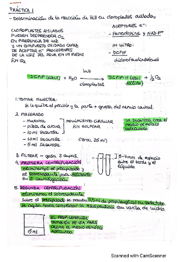 Miniatura del documento CamScanner-07-20-2022-20.pdf