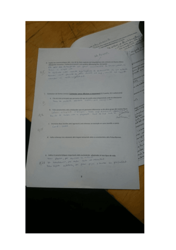 Miniatura del documento ZooExamenPreguntesCorregides.pdf