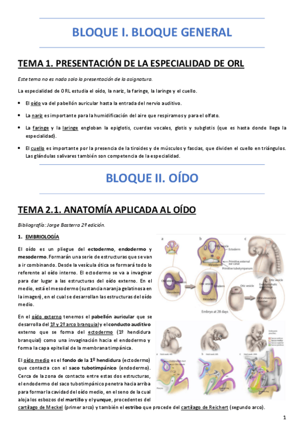 Miniatura del documento BLOQUE-I-y-II.pdf