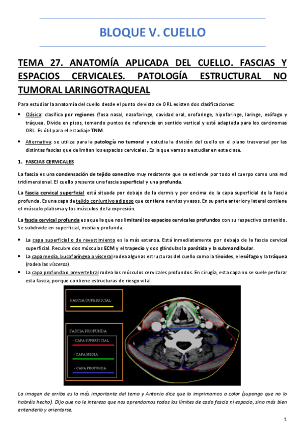 Miniatura del documento BLOQUE-V.pdf