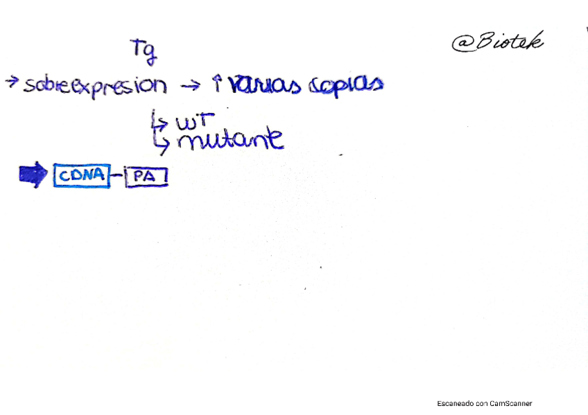 Miniatura del documento Constructos.pdf