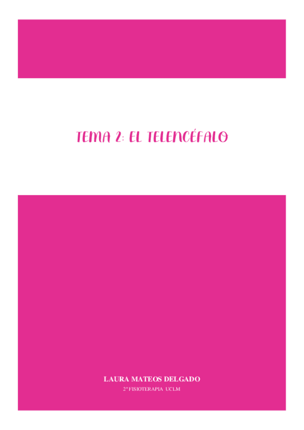 Miniatura del documento TEMA-2-El-Telencefalo.pdf