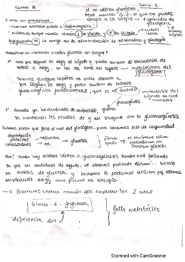 Miniatura del documento problemas-examen-resueltos.pdf