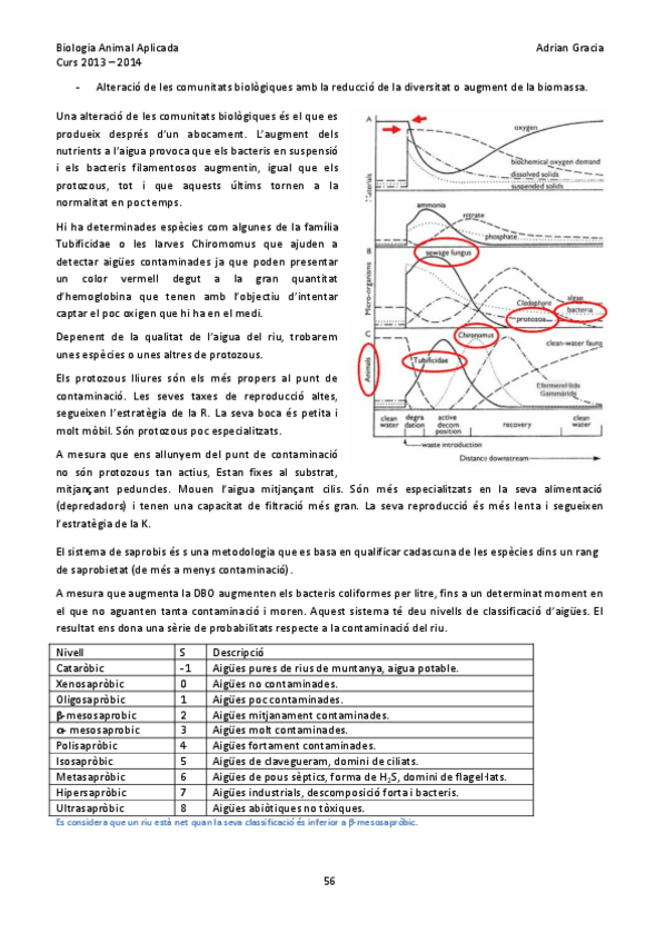 Miniatura del documento SEGONA-PART-ANIMAL-2.pdf