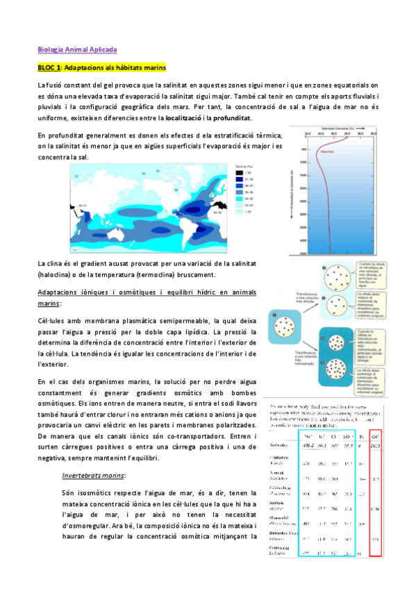 Miniatura del documento BioAnimalapuntes.pdf