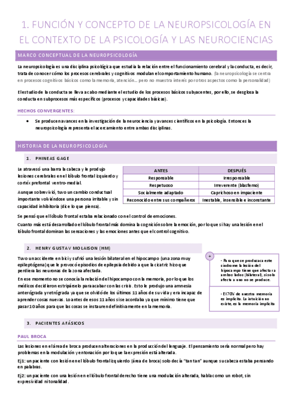 Miniatura del documento apuntes-neuro-21-22-todo-junto.pdf