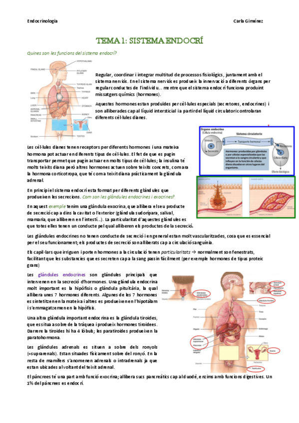 Miniatura del documento SEGUNDO-PARCIAL.pdf
