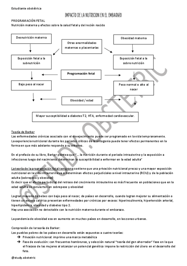 Miniatura del documento IMPACTO-DE-LA-NUTRICION-EN-EL-EMBARAZO.pdf