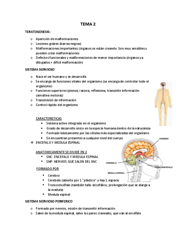 Miniatura del documento NEUROLOGIA-DEL-tema-1-AL-9.pdf