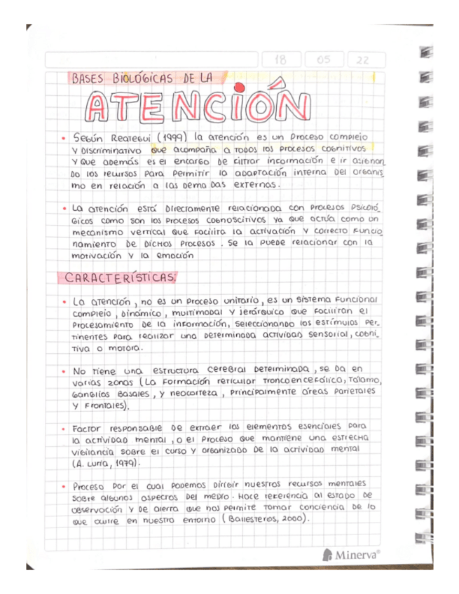 Miniatura del documento BASES-BIOLOGICAS-DE-LA-ATENCION.pdf