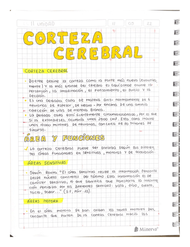 Miniatura del documento CORTEZA-CEREBRAL.pdf