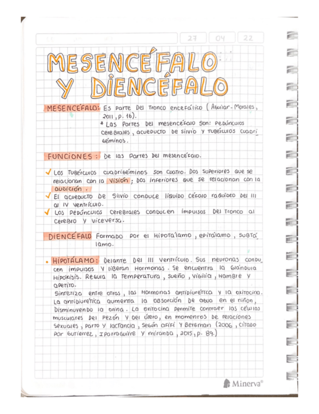 Miniatura del documento MESENCEFALO-Y-DIENCEFALO.pdf