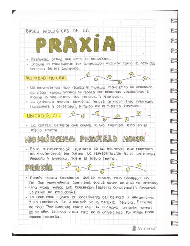 Miniatura del documento PRAXIA.pdf