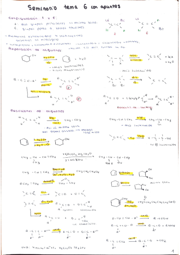 Miniatura del documento seminario-con-apuntes-tema-6.pdf