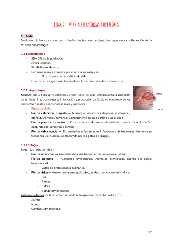 Miniatura del documento TEMA-2-VIAS-RESPIRATORIAS-SUPERIORES.pdf